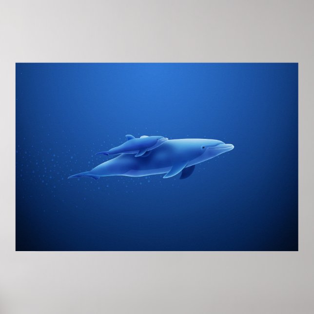 Delfiner Poster (Framsidan)