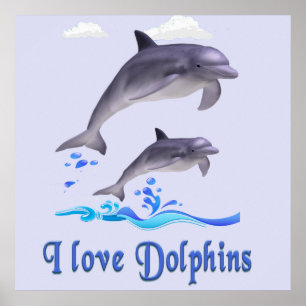 delfiner poster