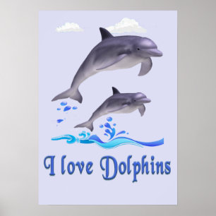 Delfiner Poster