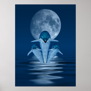 Delfiner Poster