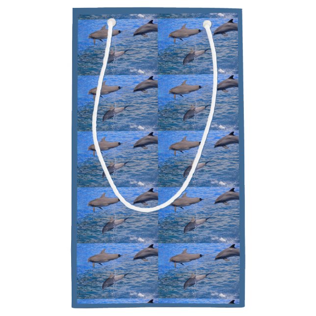 Delfiner som hoppar ut från vatten (Baksidan)