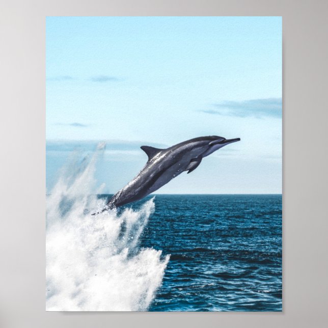 Delfiner som läcker ut ur havet poster (Framsidan)