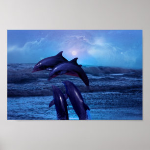 Delfiner som leker i hav poster