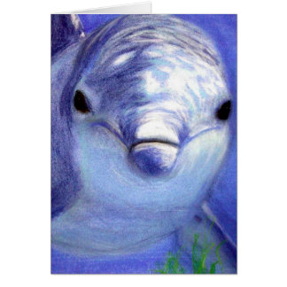 Delfiner Teckning Blue Dolphin Underwater Bild Hälsningskort