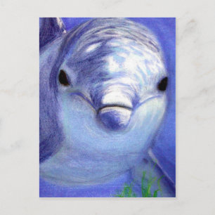 Delfiner Teckning Blue Dolphin Underwater Bild Vykort