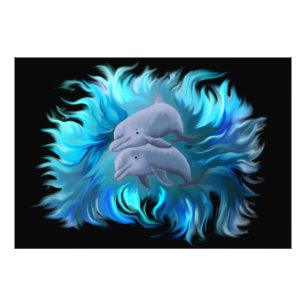 Delfinernas par fototryck