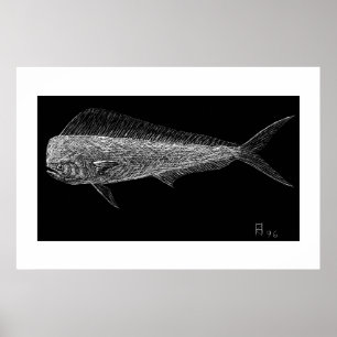 Delfinfisk Poster