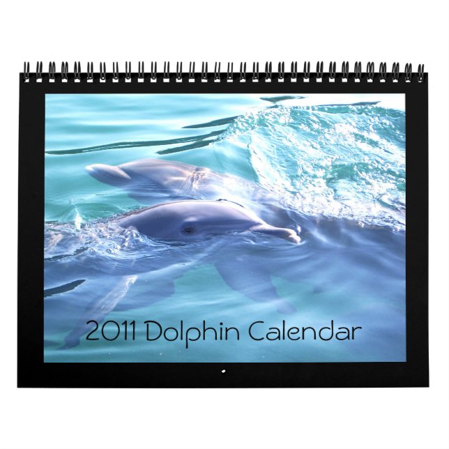 Delfinfotografi för 2011 kalender (Omslag)