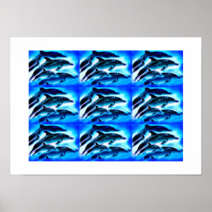 Delfingrupper Poster