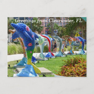 Delfinhälsningar från Clearwater Florida vykort