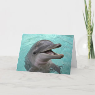 Delfinhälsningkort Kort