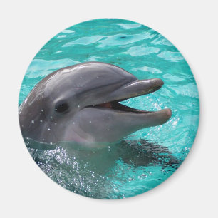 Delfinhuvud i aquamarinevatten magnet