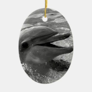 Delfinhuvud i öppet svartvitt för vattenmun julgransprydnad keramik