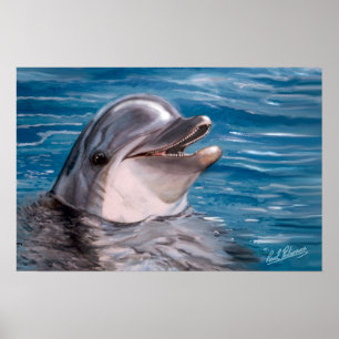 DELFINHUVUD POSTER