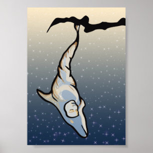 delfinkokos poster