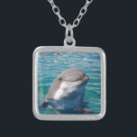 Delfinleende Silverpläterat Halsband<br><div class="desc">Denna härliga delfin uttrycker fröjd,  i att se dig. Precis vad varje delfinälskare önskar!</div>