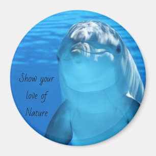Delfinmeddelandemagnet Magnet
