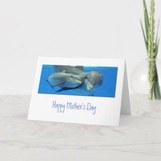 Delfinmors dagkort kort