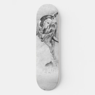 DelfinSkateboard Old School Skateboard Bräda 21,6 Cm