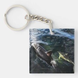 Delfinunge Med Mor Oceanpresent Naturgåva