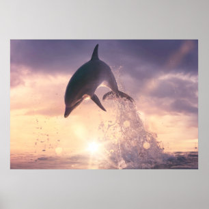 Delfinvägg Poster