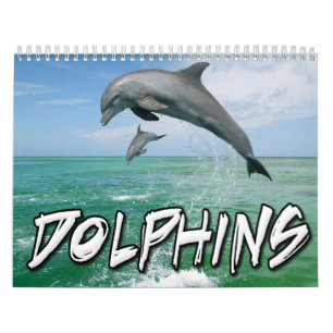 Delfinväggkalender Kalender