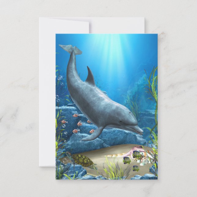 Delfinvärlden (Framsida)