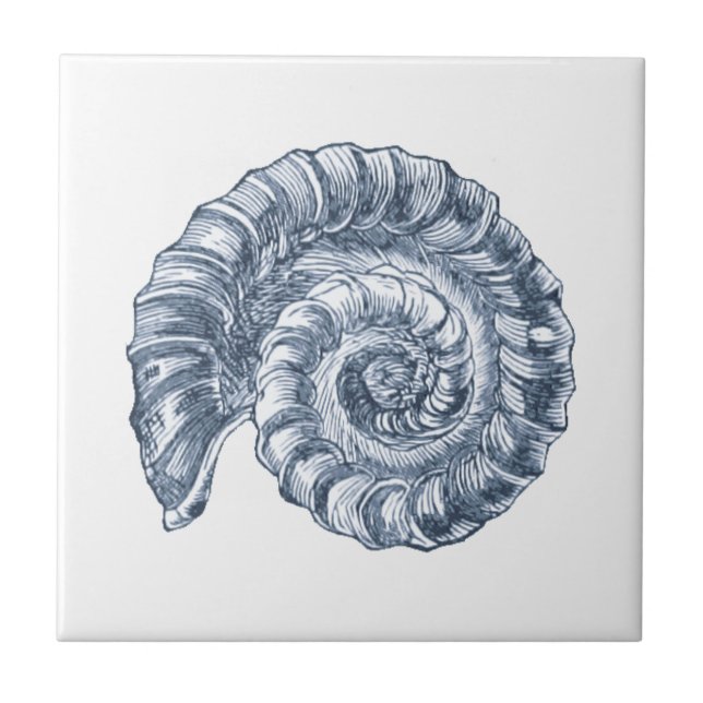 Delft Blue Ammonite Sea Snäcka Nautical Beach Hous Kakelplatta (Framsidan)