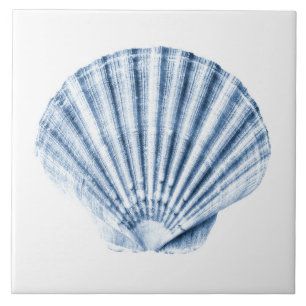 Delft Blue Clam Sea Snäcka Nautical Beach House Kakelplatta