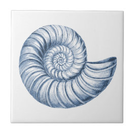 Delft Blue Nautilus Snäcka Nautical Beach House Kakelplatta
