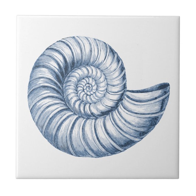 Delft Blue Nautilus Snäcka Nautical Beach House Kakelplatta (Framsidan)