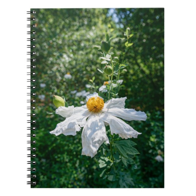 Delicate Bloom of Forest Light Anteckningsbok (Framsidan)