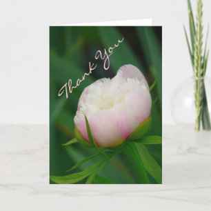"DELICATE BLUSHING PEONY/ THANK-DU "NOTECARD TACK KORT