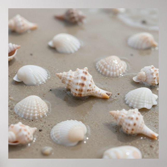 Delicate Seashells Beach Serenity Poster (Framsidan)