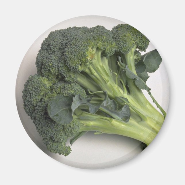 Delicious Broccoli Magnet (Framsidan)