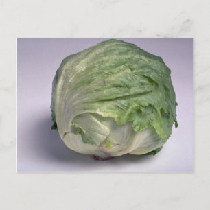 Delicious Iceberg-sallat Vykort