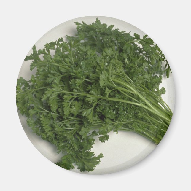 Delicious Parsley Magnet (Framsidan)