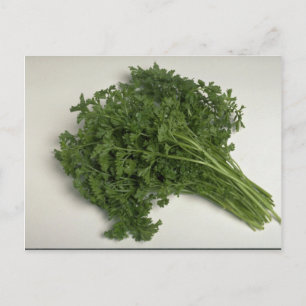 Delicious Parsley Vykort