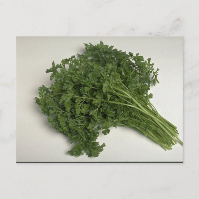 Delicious Parsley Vykort (Framsida)
