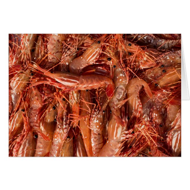 Delicious Prawns Hälsningskort (Framsidan Horizontal)