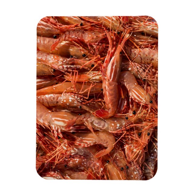 Delicious Prawns Magnet (Vertikal)