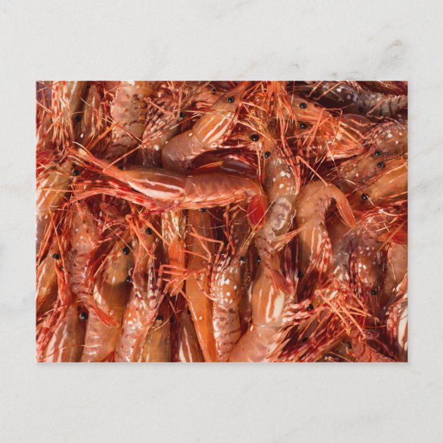 Delicious Prawns Vykort (Framsida)
