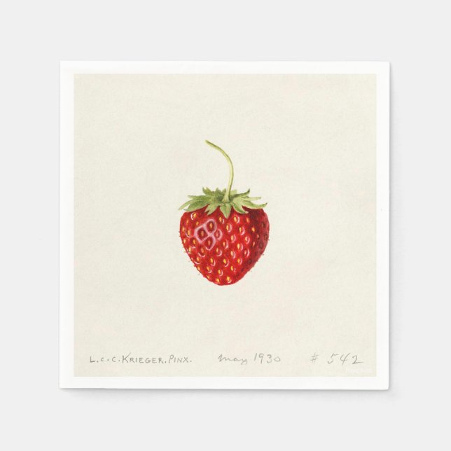 Delicious Red Strawberry (av Louis C.C. Krieger) Pappersservett (Framsidan)