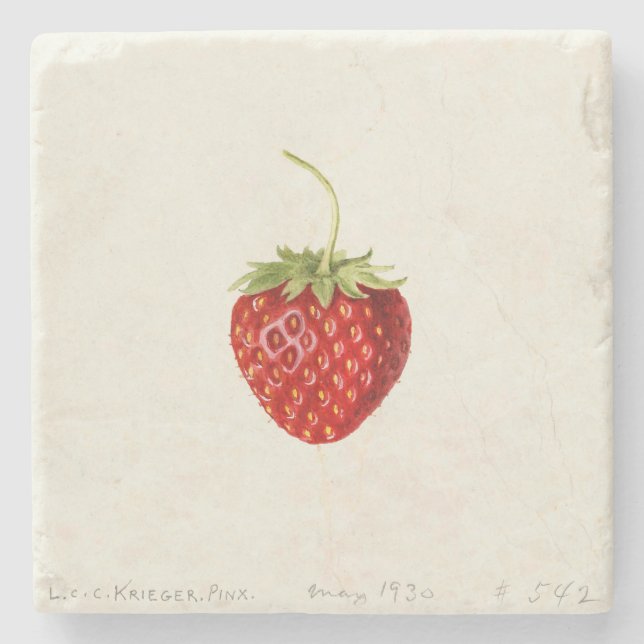 Delicious Red Strawberry (av Louis C.C. Krieger) Stenunderlägg (Framsidan)
