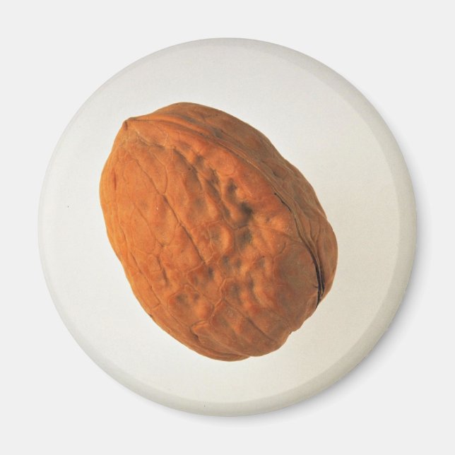 Delicious Walnut Magnet (Framsidan)