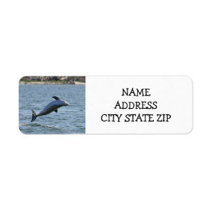 **DELIGHTTFUL DOLPHIN** ADRESSETIKETTER RETURADRESS ETIKETT