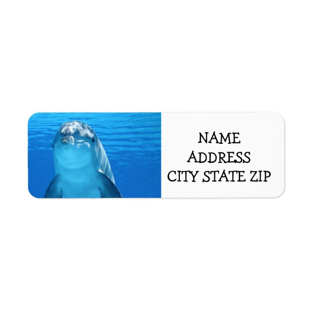 **DELIGHTTFUL DOLPHIN** ADRESSETIKETTER RETURADRESS ETIKETT (Framsidan)