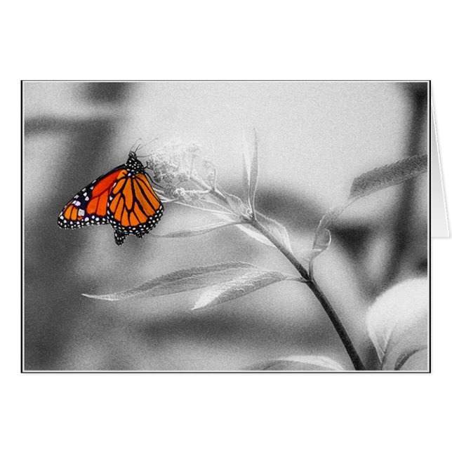 Delikat balansera hälsningskort (Framsidan Horizontal)