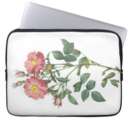 Delikat botanisk illustration av Rosa ros Laptop Fodral
