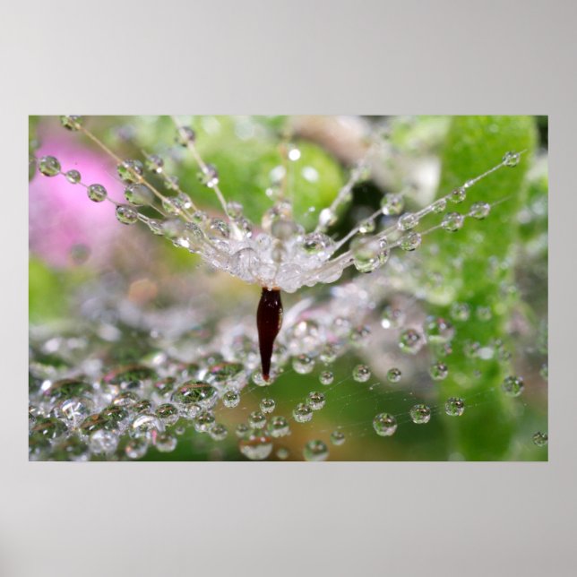 Delikat Dandelion-Abstrakt Poster (Framsidan)